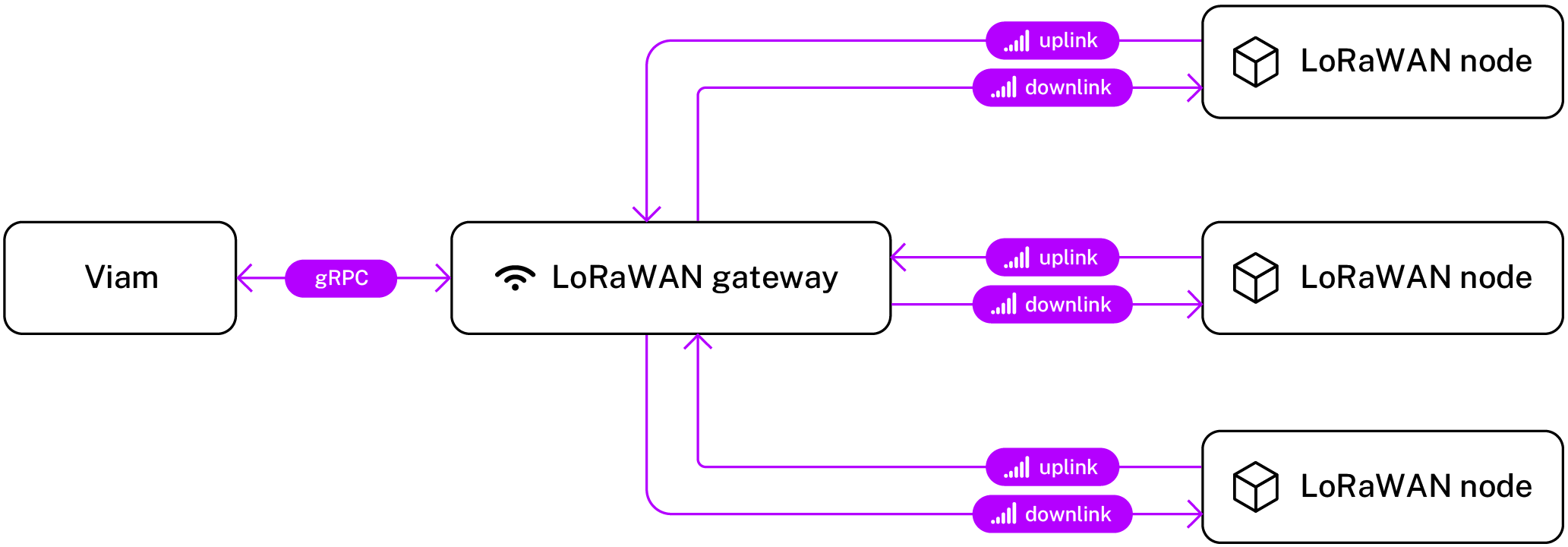 A LoRaWAN network consisting of a single gateway and multiple nodes
